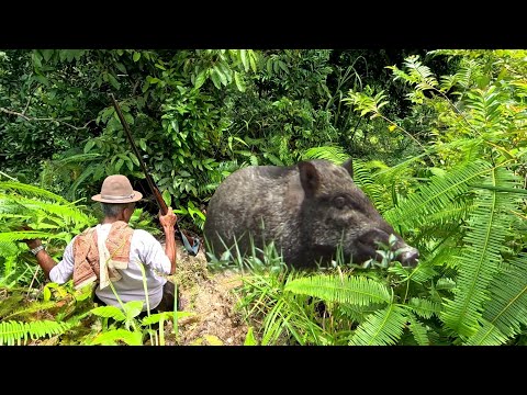 MENEGANGKAN❗BABI BESAR M0G0K & M4K4N K0RB4N | Wild Boar Hunting..