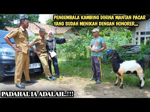 PENGEMBALA KAMBING DIHINA MANTAN PACAR YANG SUDAH MENIKAH DENGAN PEGAWAI, AKHIRNYA BIKIN MALU !!!