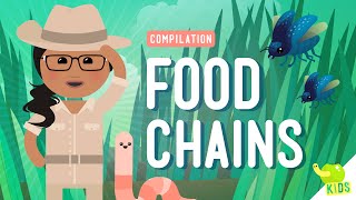 Food Chains Compilation: Crash Course Kids