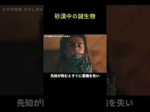 砂漠中の謎生物