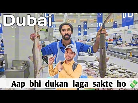 🐟DUBAI KA FISH  MARKET🇦🇪🇮🇳 , daira dubai, आप भी अपनी दुकान लगा सकते हो 🫵🏻