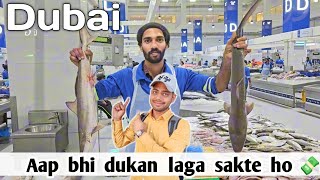 🐟DUBAI KA FISH  MARKET🇦🇪🇮🇳 , daira dubai, आप भी अपनी दुकान लगा सकते हो 🫵🏻