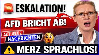 ESKALATION! Weidel ZERLEGT Merz-Presse nach SKANDAL BELEIDIGUNG – AfD BRICHT AB!
