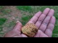 Erosion and Weathering Concepts