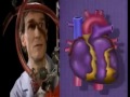 Exploring Blood and Circulation with Bill Nye