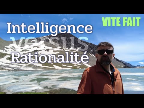 L'Intelligence et la Rationalité [Vite Fait]