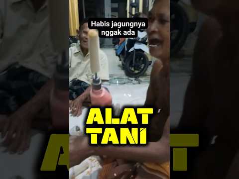 Lifehack, DIY alat pemipil jagung #unik #tani #infotani