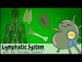 Understanding the Lymphatic System