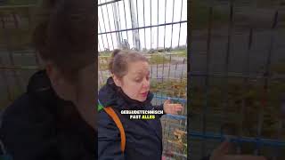 die Flutlichtmasten werden 💥😱