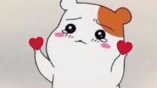 Live 💚 느좋 목소리