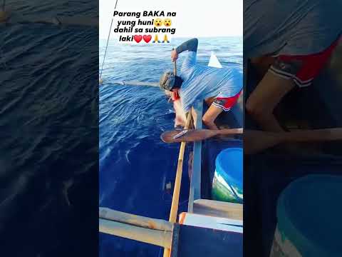 PARANG BAKA NA YUNG HUNI DAHIL SA SUBRANG LAKI😲😲😲😲 #subscribers #viral #catchingfish #fish