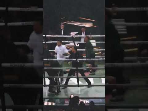 WANDERLEI SILVA GETS KO'D IN POST-FIGHT BRAWL