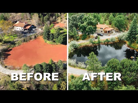 6 Week Pond Transformation