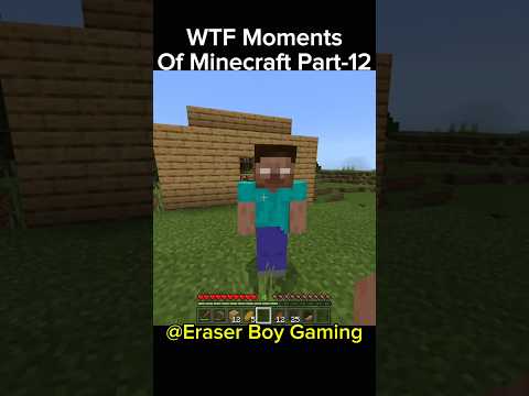 Minecraft WTF Moments Part-12 #indiangamer #hindigameplay #minecraftfunny #funny