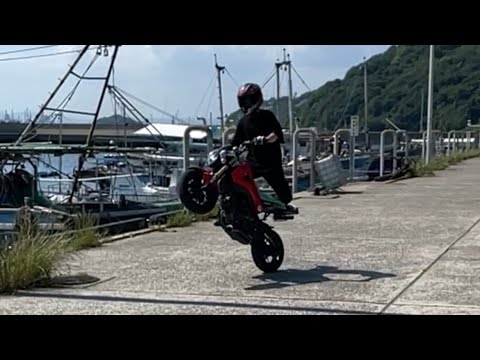 バイクがウイリーして海に転落！！？#Shorts