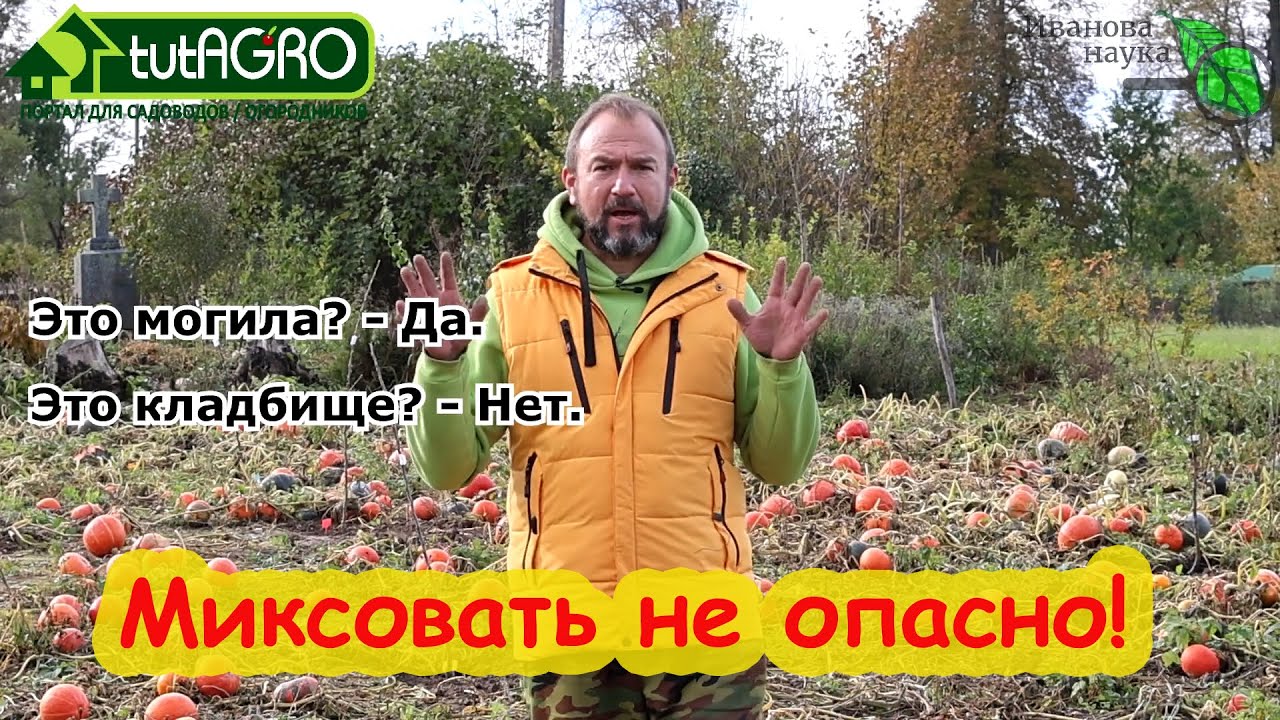 Как лучше расположить деревья в саду. Сажайте сад по этой схеме - урожай будет больше.