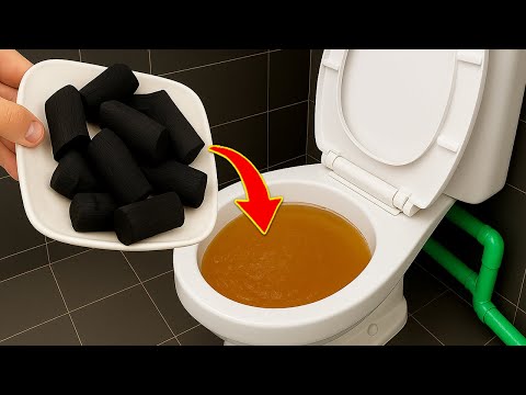 Why didn't I know this trick sooner! simple toilet unclogging idea.