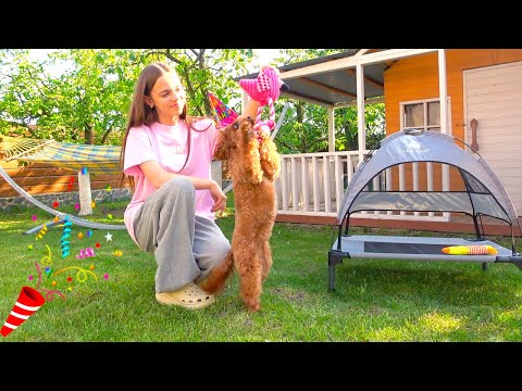 День народження Теффі ПОДАРУНКИ влог на ДАЧІ My little Nastya
