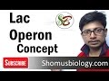 Lac Operon Mechanisms and Functions