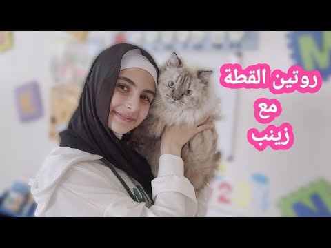 روتين القطة مع زينب - كيف أعتني بها ؟ Cat routine - Zeinab / Hussein and Zeinab