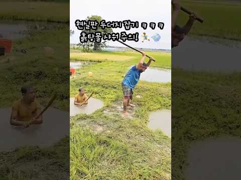 현실판 두더지 잡기 ㅋㅋㅋ 흙탕물 샤워 주의! 🏃♂️💨