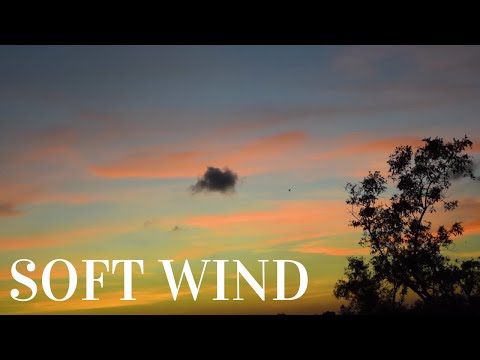 Soft Wind Sound. Sounds To Help Sleep