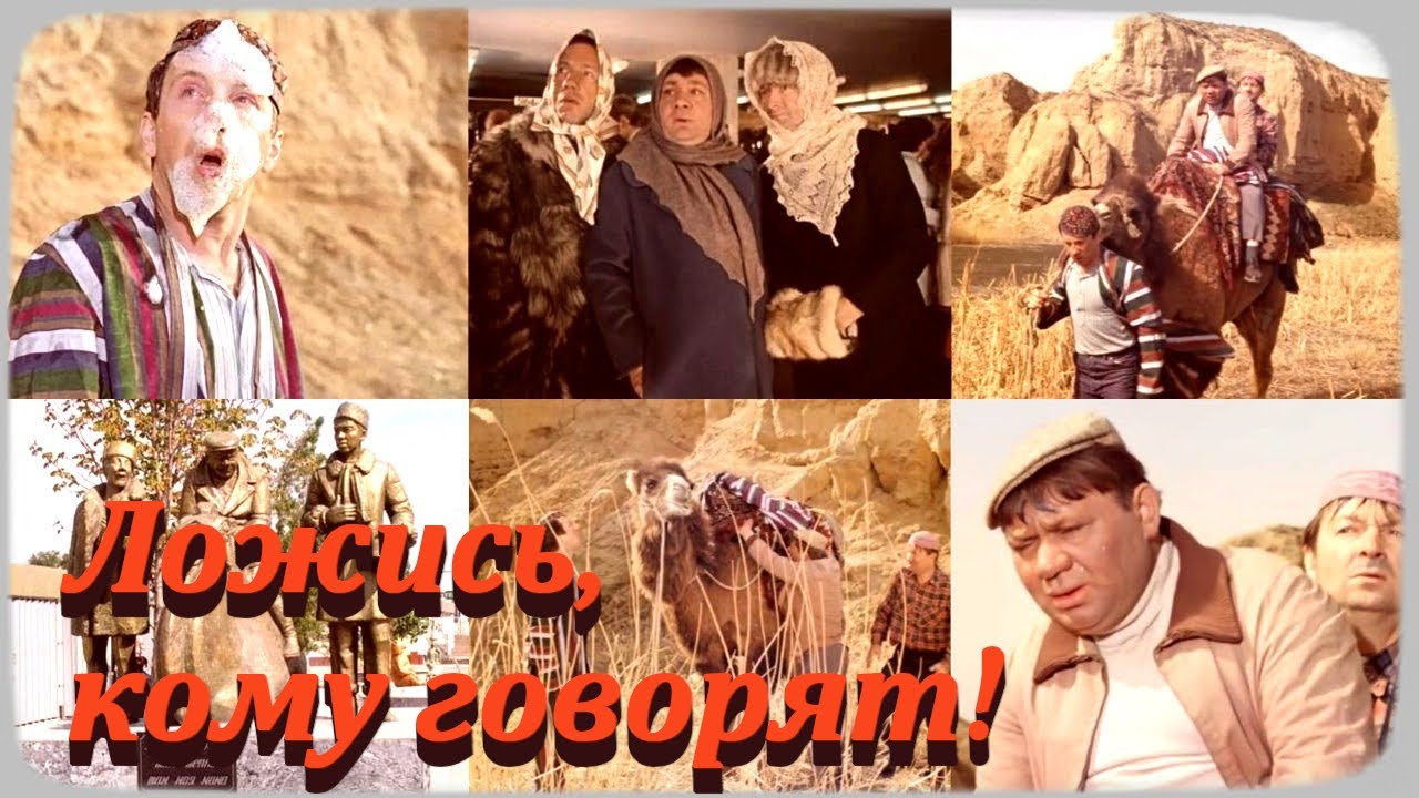 Плевал ли верблюд в Косого - Крамарова в фильме -Джентльмены удачи-? История с верблюдом
