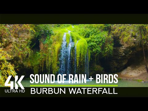 4K Rainfall & Waterfall Sounds | Ultimate Nature Therapy for Deep Sleep & Relaxation with Birdsongs