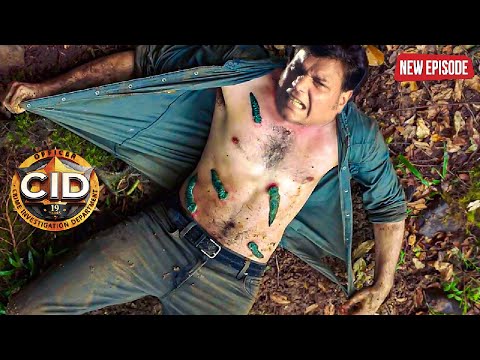 जंगल में फसा Daya कैसे बचाएगा इन खून चूसने वाले कीड़ो से अपनी जान | CID | Serial Latest Episode