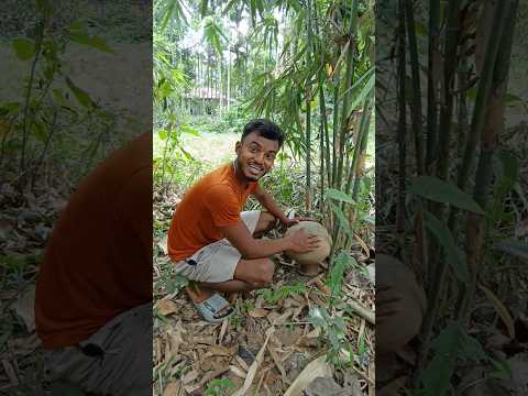দুমাস থেকে হাঁড়ি দিয়ে ঢেকে রাখা বাসটি কি হলো। পেয়ারার কৌটোটা এভাবে পড়ে গেল কেন #minivlog