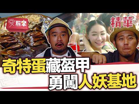 奇特生物 蛋蛋藏盔甲 累積四億年 美味超濃縮【週一愛玩客】自由發揮精華｜20120917