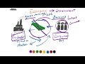 Understanding the Economy