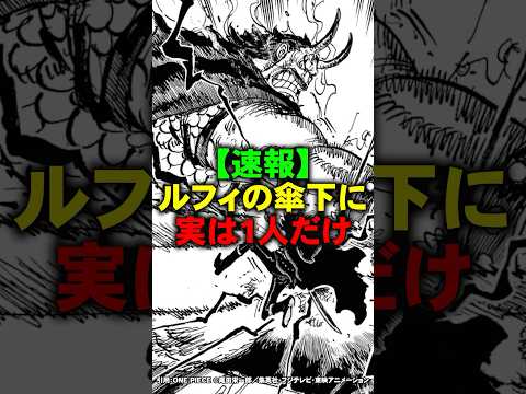 ルフィの傘下に実は1人だけ...【ワンピース】 #Shorts