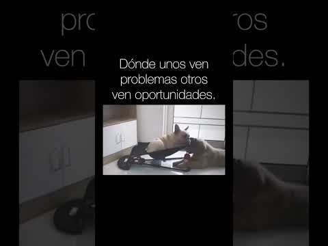 Dónde unos ven problemas, otros ven oportunidades. jejeje