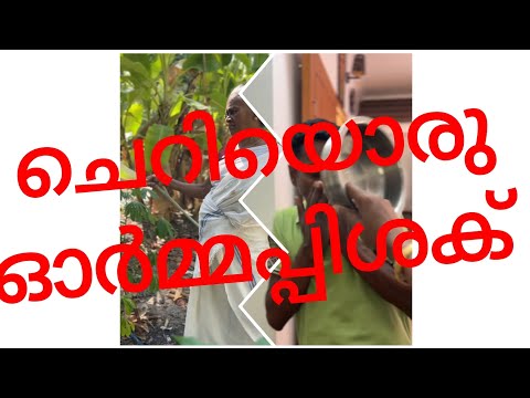 വയസ്സായാൽ ഇതൊക്കെ സാധാരനെയാണ് 🤣🤣#ytshorts#youtubeshorts