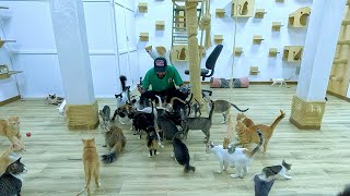 This man has made many cats become fond of him with love.