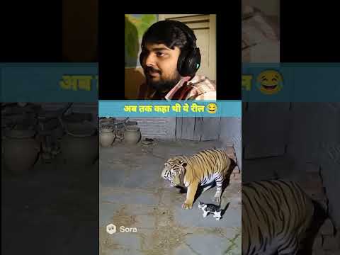 शेर एक बिल्ली से डर गया😂।#shorts #cat #funny