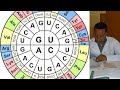 Genetic Code and Protein Synthesis