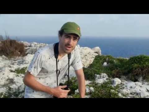 Birding in the Cayman Islands (Part II): The Sister Islands