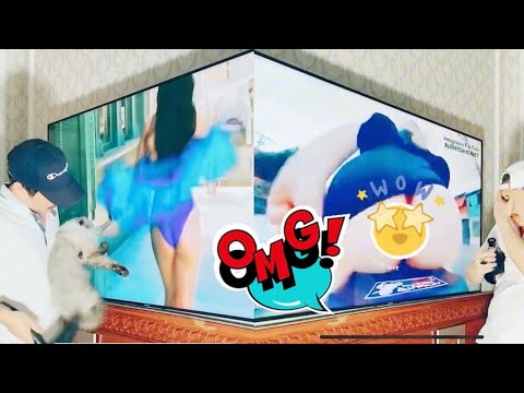 All short crazy funny moment 🤪#viralvideo #funny