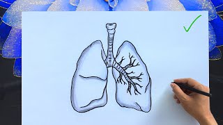 How to Draw a Human Lungs | Easy Anatomy Diagram with Labels | Lungs Drawing