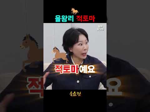 을왕리 전설의 적토마