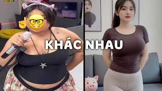 Chubby và phí bèo..