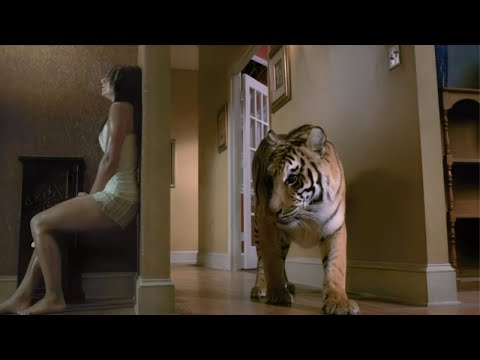 Mulher e irmão ficam PRESOS com um TIGRE faminto dentro de casa! - RECAP