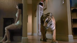 Mulher e irmão ficam PRESOS com um TIGRE faminto dentro de casa! - RECAP