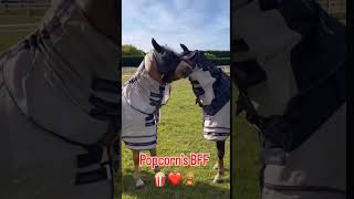 @HarlowLunaWhite