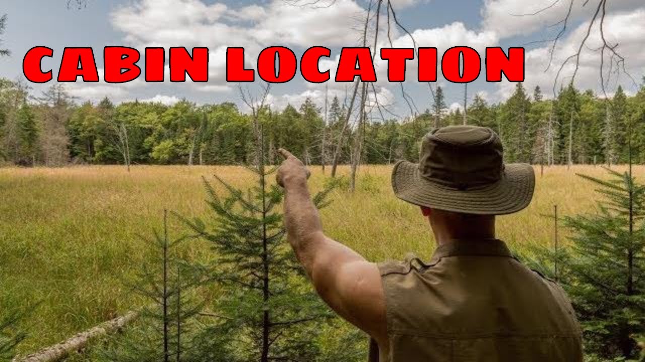 How to design a LOG CABIN IN THE FOREST: My DREAM Build in the Canadian Wilderness