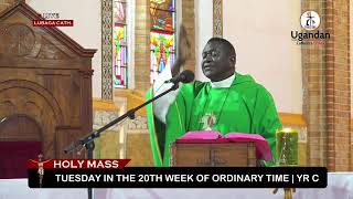 Catholic Mass Today || Daily Mass - Tuesday 19th August 2025 || Daily Mass Online