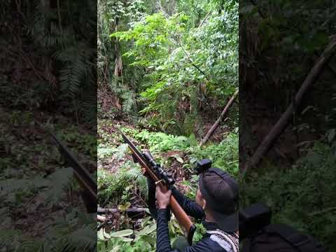 Akhirnya yang di tunggu datang lebih cepat #shorts