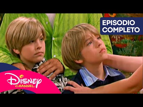 HOTEL, DULCE HOTEL: LAS AVENTURAS DE ZACK Y CODY: Navidad en el Tipton 🎄🌟 | @disneychannelES